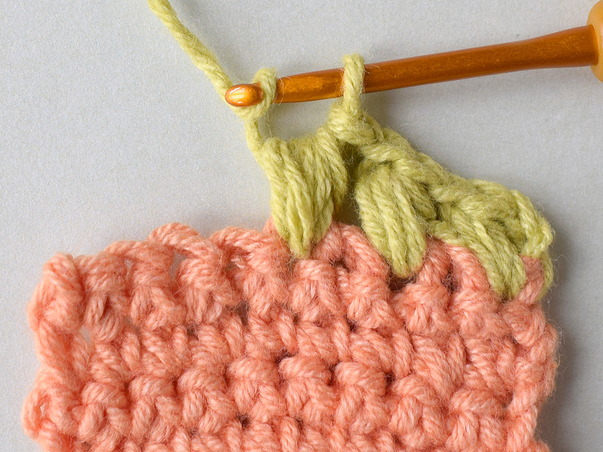 Hilfeseitenbild für 'Die Flachnoppe Variante 1'