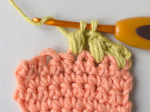 Hilfeseitenbild für 'Die Flachnoppe Variante 2'