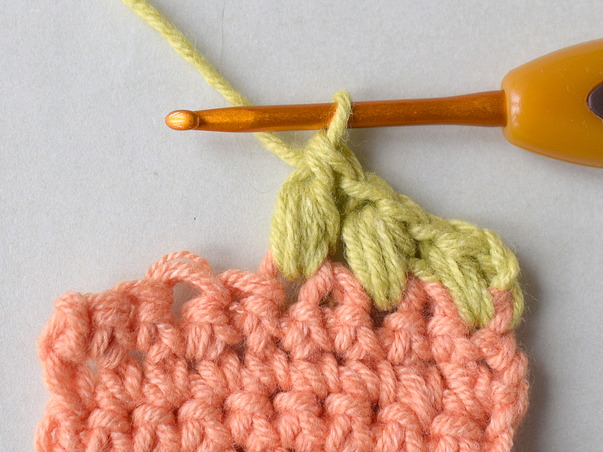 Hilfeseitenbild für 'Die Flachnoppe Variante 2'